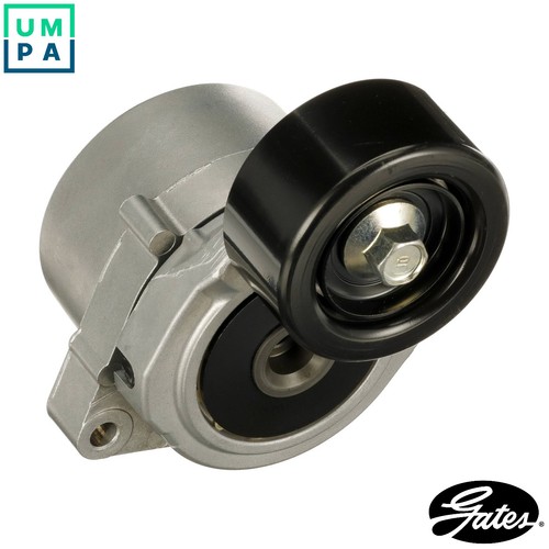 Belt tensioner vribbed - tensioner,