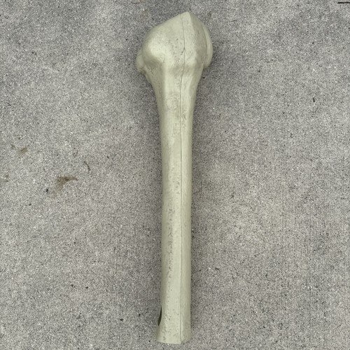 Home depot 12ft - depot,