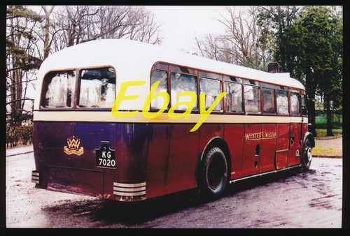 Bus photo leyland - bus, western