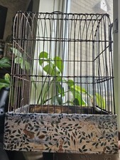 VINTAGE SMALL WIRE FRAME SONG