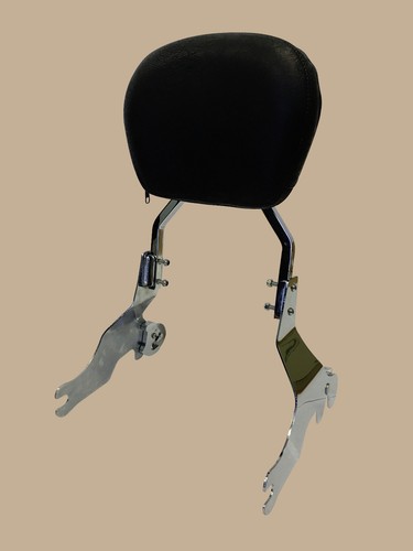 Quick detachable sissy bar - quick,