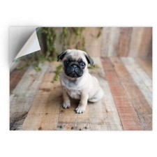 1 x Vinyl Sticker A4 -