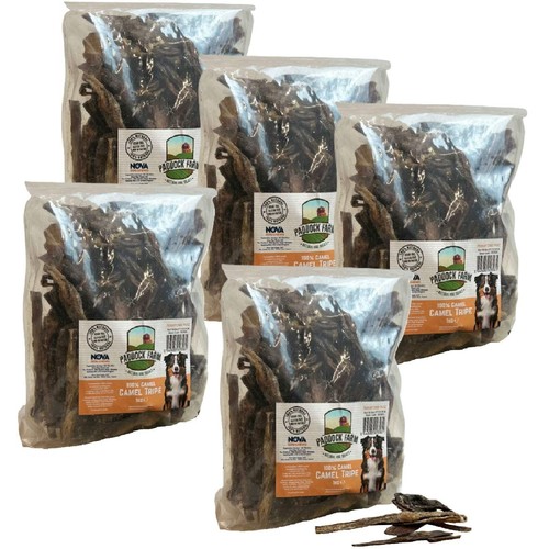 Camel tripe - camel,