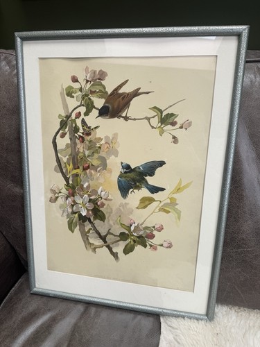 Antique french - antique,