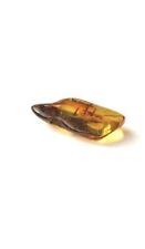 Natural Baltic Amber Stone 