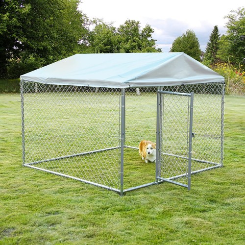 Large outdoor dog - outdoor,