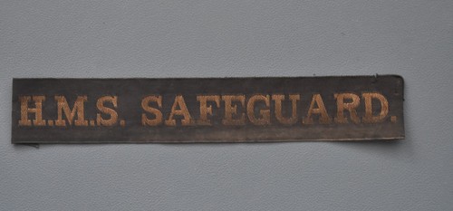 Safeguard dems aa - dems,
