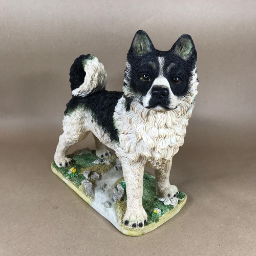 Vintage large akita - akita, dog