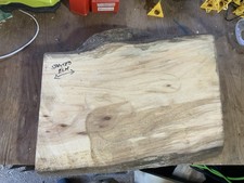 Spalted Elm Bowl Blank Wood