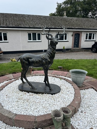 Life size stag cast - size, large