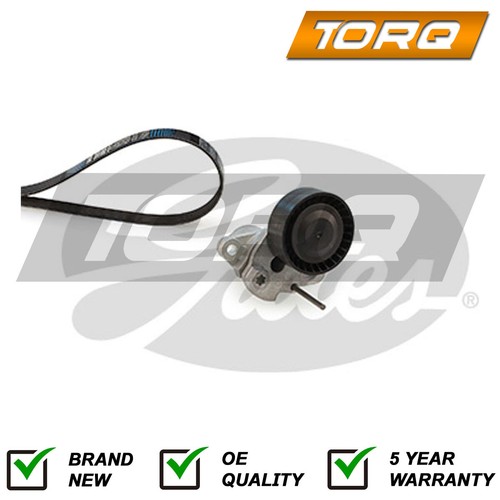 Alternator drive belt kit - drive,
