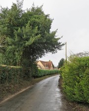 Photo 6x4 Newbourne: on