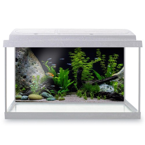 Fish tank background beautiful - background,