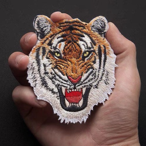 Roaring tiger head - head, on