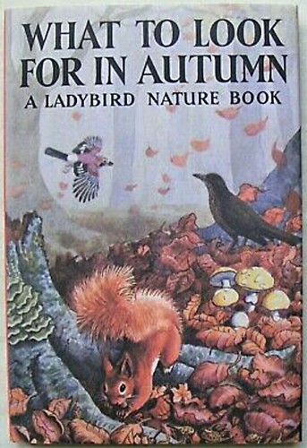 Ladybird book what - book, look