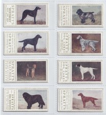 Trade Cards - Champion Dogs