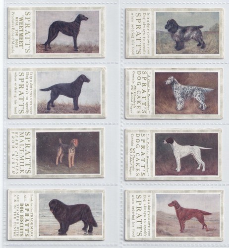 Trade cards champion dogs - -,