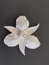 15 Pieces, Paintable