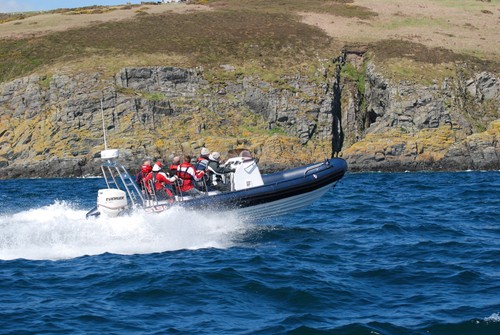 Rib boat for - boat, sale
