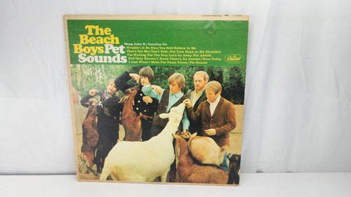The beach boys - boys,
