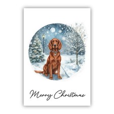Irish Red Setter Christmas Card. Dog Lovers Card From the Dog to Mum Dad Groomer