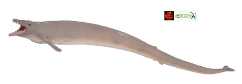Basilosaurus prehistoric sea - basilosaurus,