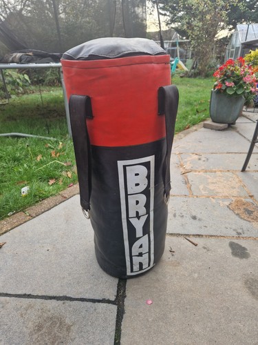 Bryan small punching bag - bryan,