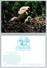 Hobby - Bird - Vintage