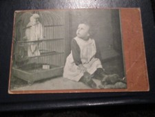 Postcard of Child sat by Cockatoo in cage (Posted)
