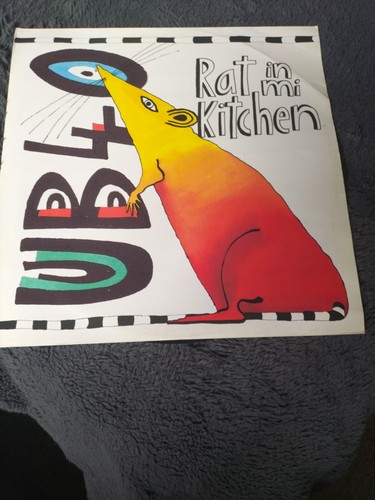 Ub40 rat kitchen 12 - rat,