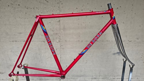 Rosa columbus steel - de,