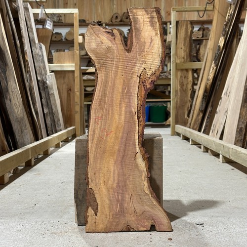 Plum sawn board blank waney - plum,
