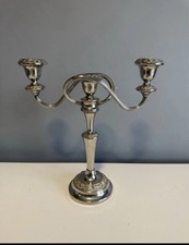 Vintage branch ianthe - branch, silver