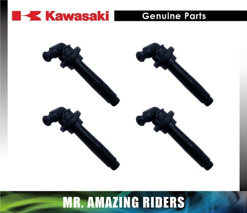 Kawasaki genuine zzr1200 - genuine,