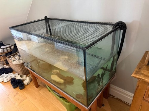 4ft 2ft - x, glass
