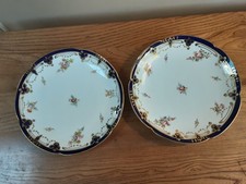 PAIR OF 19TH CENTURY PLATES HAND PAINTED FLOWER & GILT BLUE RIMS, RIDGWAY?