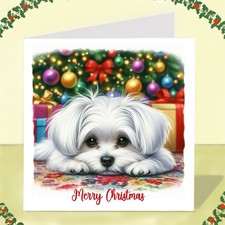 Maltese Dog Christmas Card