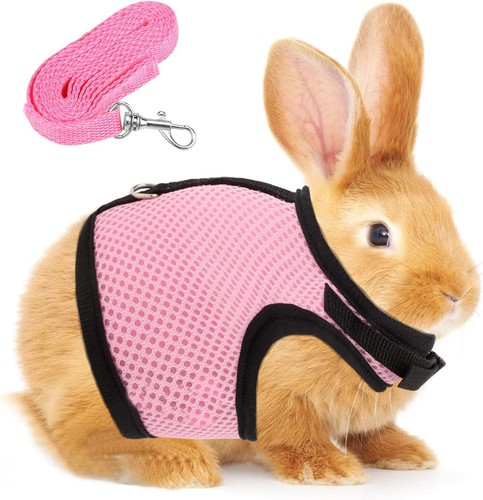 Adjustable rabbit harness for - rabbit,