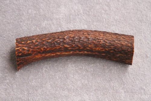 Real red deer - deer, antler