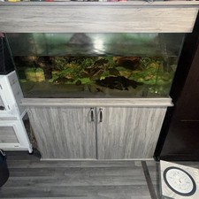 Seabray Elite 48 Aquarium Fish