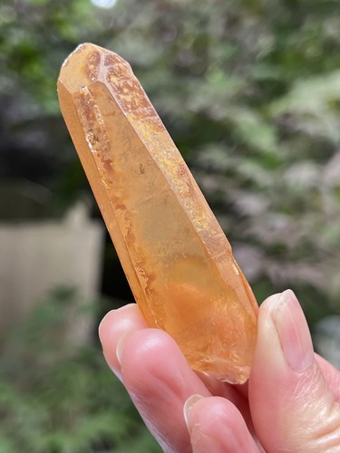 Tangerine lemurian seed clear - lemurian,