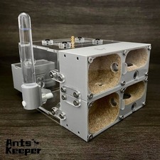 Anthill nest for - for, keeping