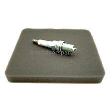 Mountfield RM45 Air Filter & Spark Plug Fits SP454 SP474 118550452/0 Genuine 