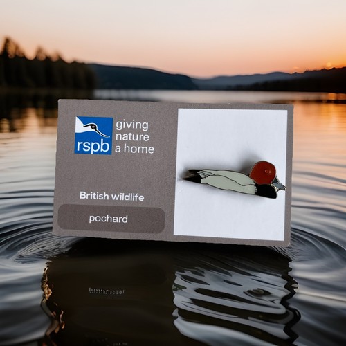 Rspb pin badge - badge, gnah