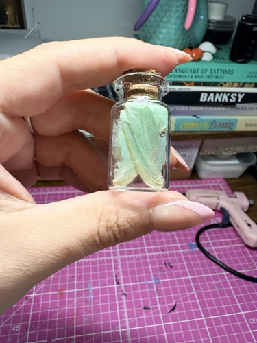 Lunar moth taxidermy jar - lunar,