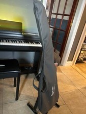 Encore Left Handed Black Bass