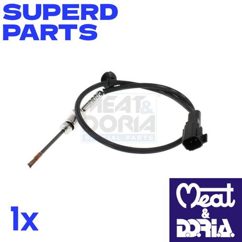 Exhaust gas temperature - gas, sensor