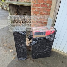 4 Brand New Live Rabbit/rodent