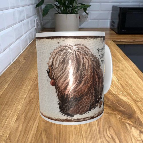 Spanish water dog - water, coffee