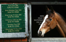 KAUTO STAR ICONIC STABLE PHOTO